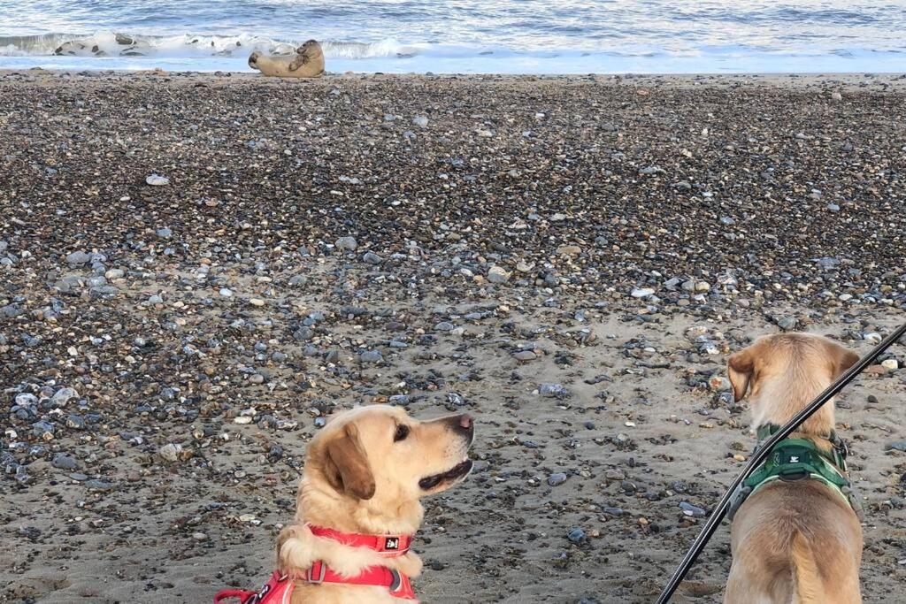 Dog Friendly Cottage 2 Mins To Beach With Hot Tub And Zappi Ev Lessingham Eksteriør billede