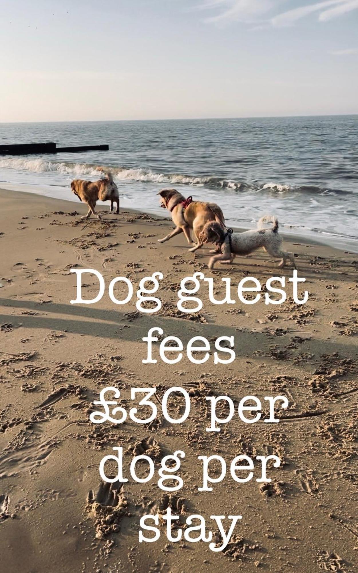 Dog Friendly Cottage 2 Mins To Beach With Hot Tub And Zappi Ev Lessingham Eksteriør billede