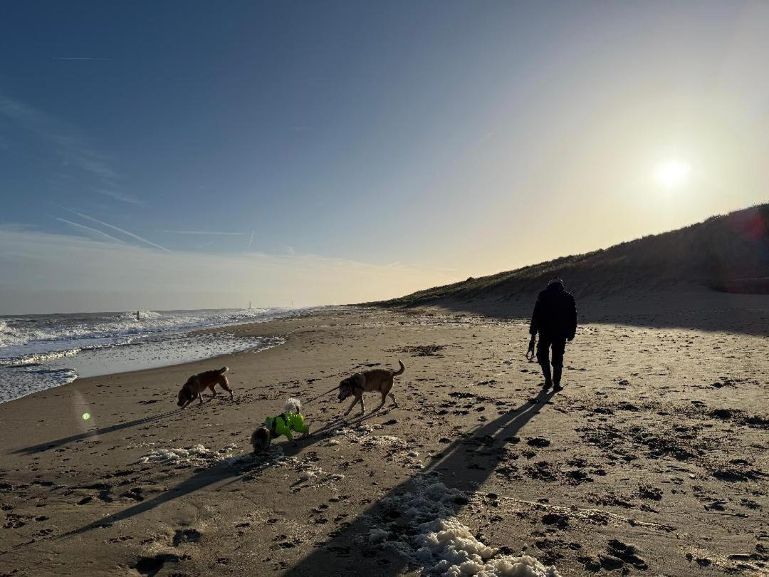 Dog Friendly Cottage 2 Mins To Beach With Hot Tub And Zappi Ev Lessingham Eksteriør billede